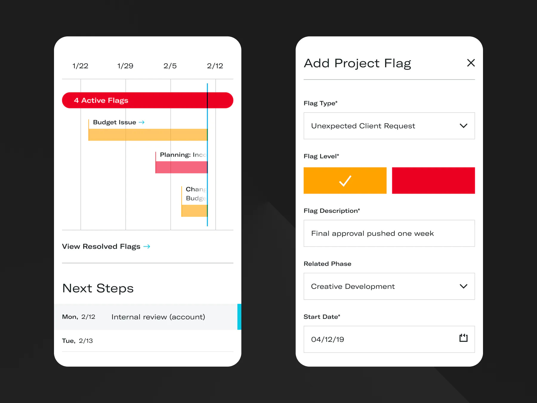Mobile prototype displaying active flags and an interface to add new project flags.